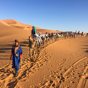 Camel Trekking & Desert Camp