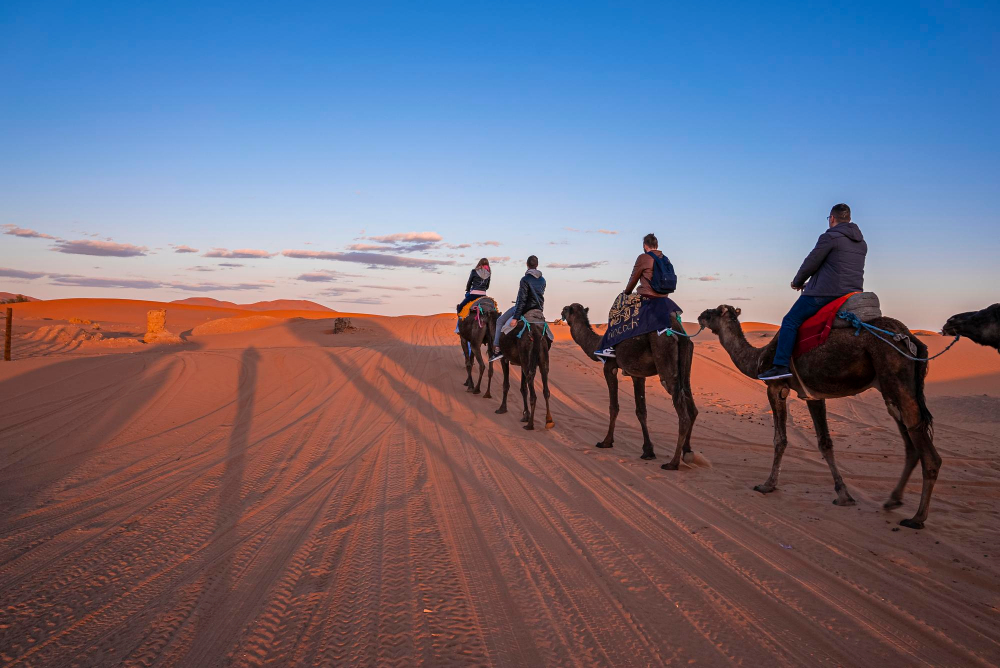 227 Camel Trekking & Desert Camp