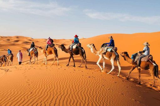 Untitled design5555 Camel Trekking & Desert Camp