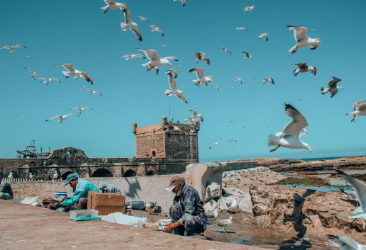 18-done 10 Day Morocco Tour from Casablanca – Casablanca Corniche seaside promenade