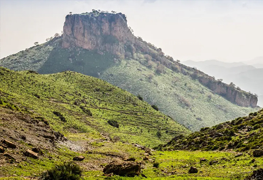 Day Trip to Middle Atlas, Cedar Forest, Ifrane & Azrou from Fes