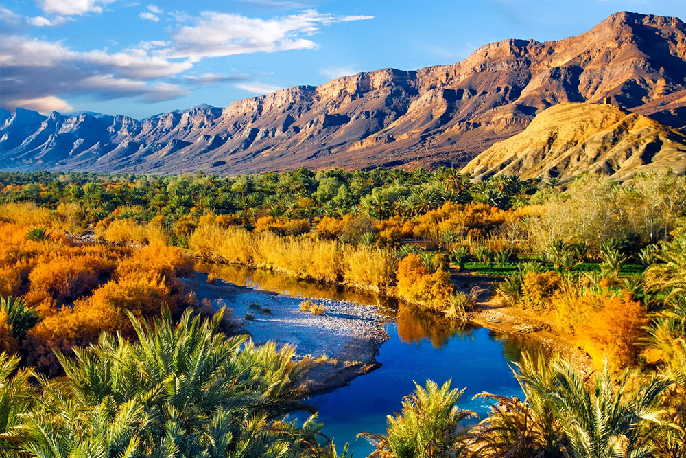 Erg-Chebbi-camel-trek-tour <br />
4 Day Merzouga Desert Tour from Errachidia to Marrakech<br />