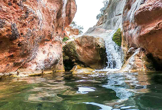 Morocco-nature-tour-from-Fes Day Trip to Middle Atlas, Cedar Forest, Ifrane & Azrou from Fes