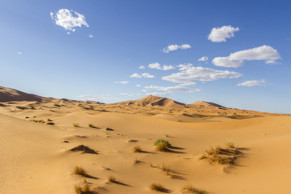 Sahara-tour-Ouarzazate 3 Days Desert Tour from Ouarzazate to Marrakech via Merzouga
