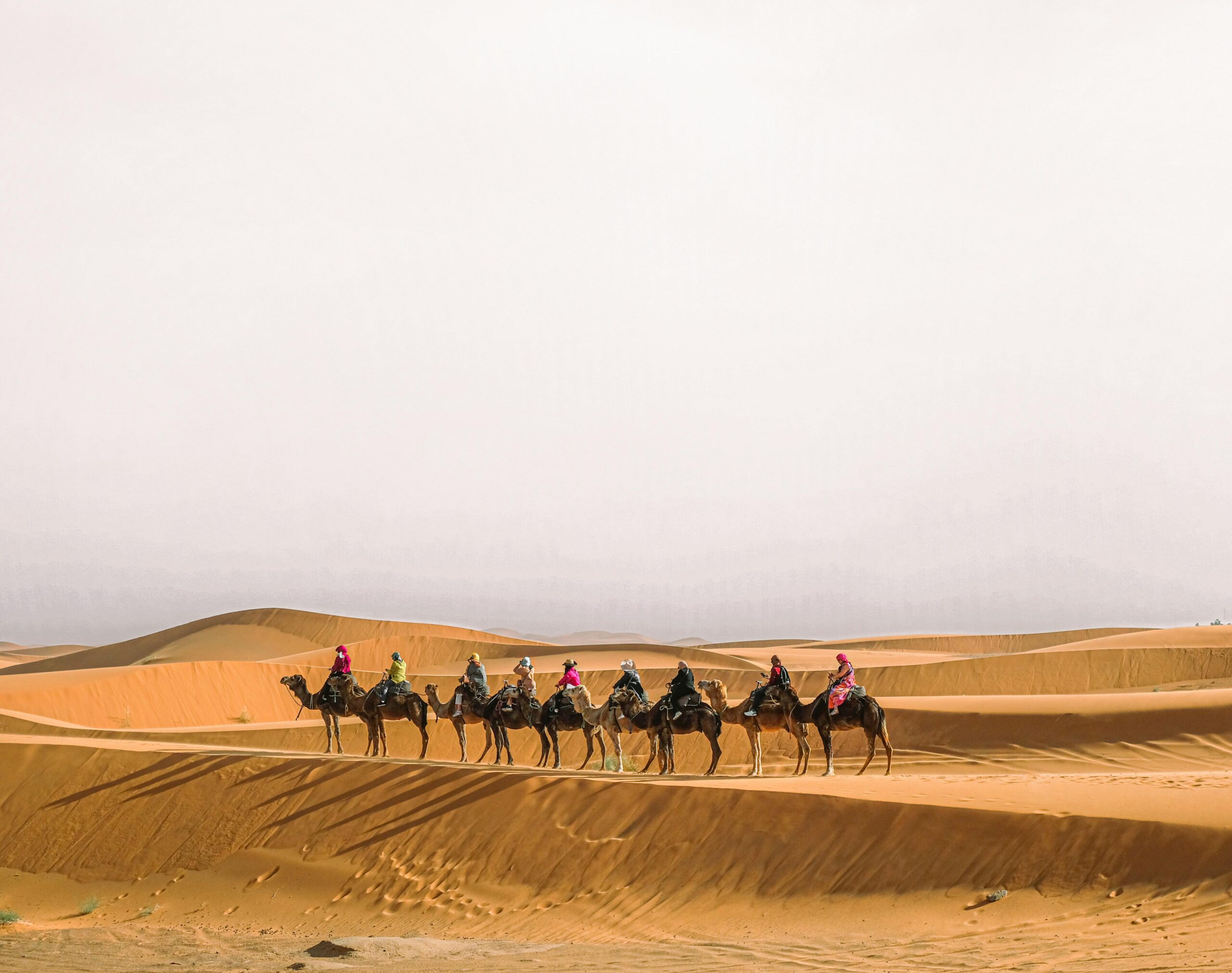 Sahara desert sunrise Merzouga dunes Morocco Fes historic medina overview with rooftops and narrow streets