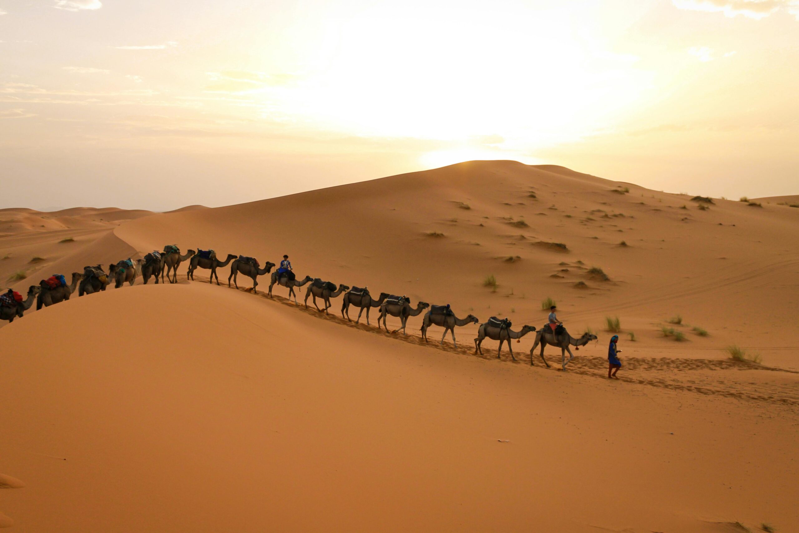 10 Day Morocco Tour from Casablanca – Khamlia Gnawa music village 10 Day Morocco Tour from Casablanca – Khamlia Gnawa music village