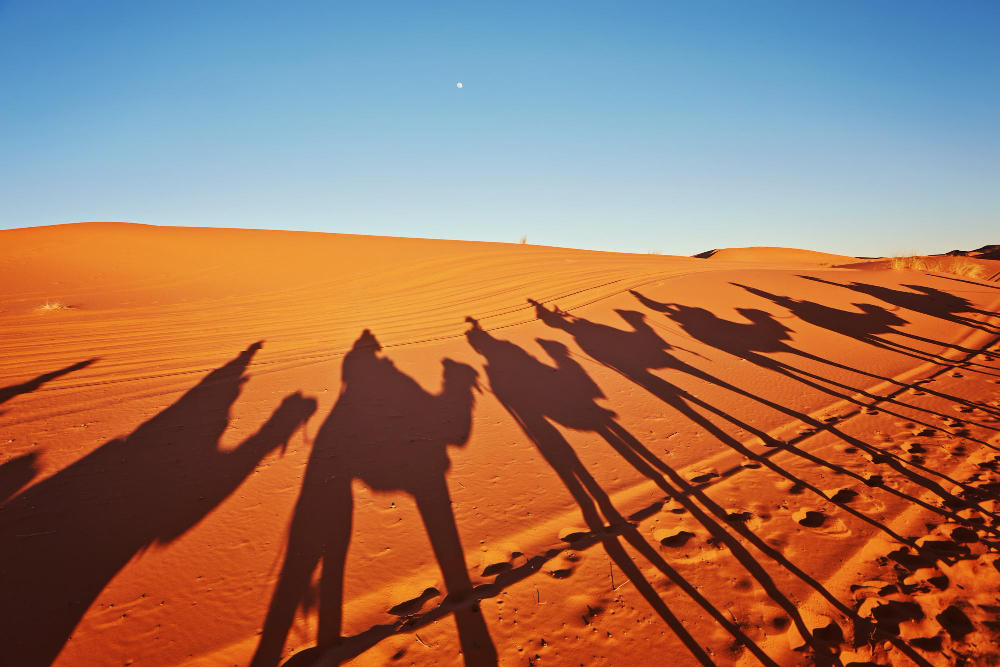 Sahara Desert in Morocco
